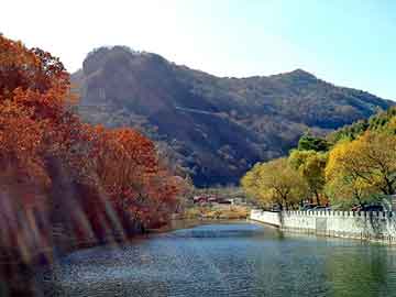 澳门二四六天天彩图库，卷板钢管